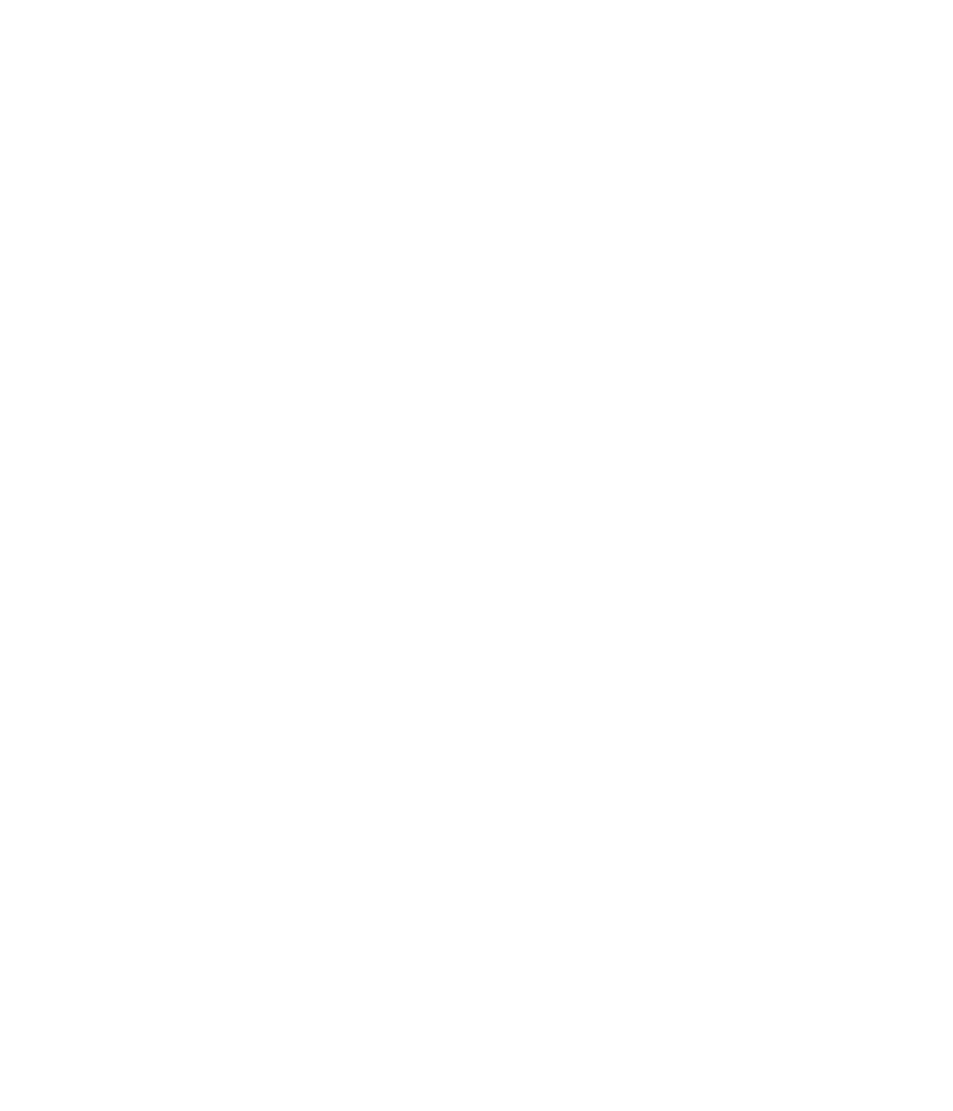 diens-top-mark.png